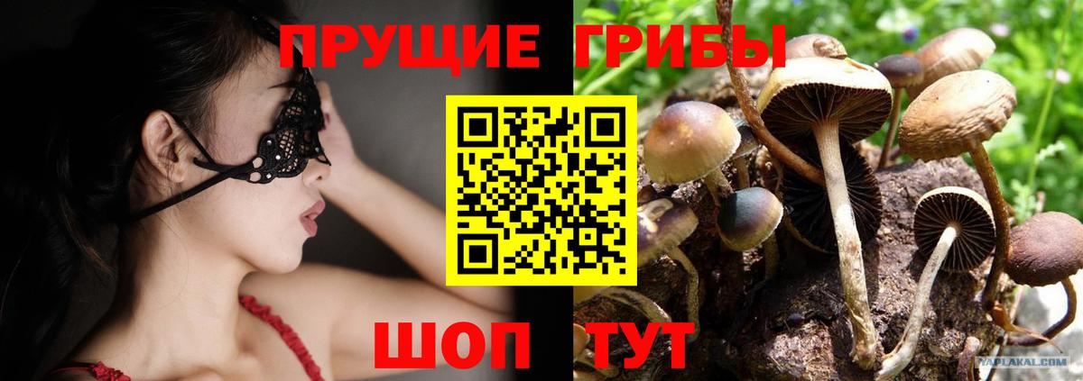 Галлюциногенные грибы Cubensis  Вход с VPN  Галлюциногенные грибы GOLDEN TEACHER  Избербаш 